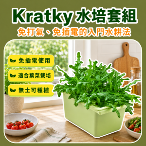 免插電水耕箱套組 Kratky靜態水培|生菜/蔥/各類蔬菜適用