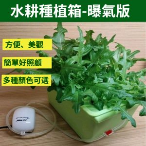 DWC深水栽培種植箱｜含氣石・不含打氣機