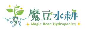 魔豆水耕